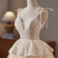 Champagne Tulle Lace Short Prom Dress, A-Line Homecoming Party Dress - Thumbnail 1