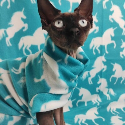 Be the unicorn (aqua) - lightweight fleece