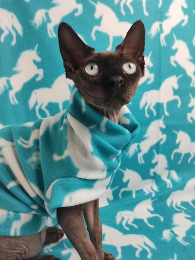 Be The Unicorn (Aqua) - Lightweight Fleece