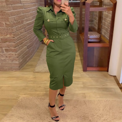 Slim Long Sleeve Bubble Sleeve Dress