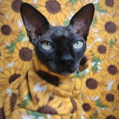 Sunflower - luxe fleece