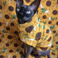 Sunflower - Luxe Fleece - Thumbnail 2