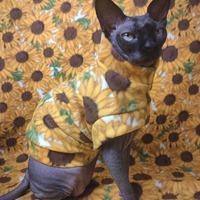 Sunflower - Luxe Fleece - Thumbnail 1