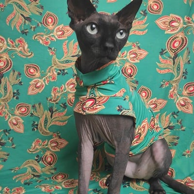 The young & the restless  - sleepwear