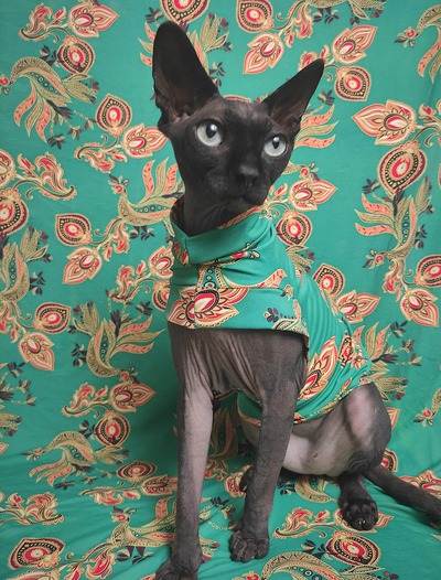 The Young & The Restless  - Sleepwear