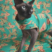 The Young & The Restless  - Sleepwear - Thumbnail 2