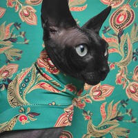 The Young & The Restless  - Sleepwear - Thumbnail 3