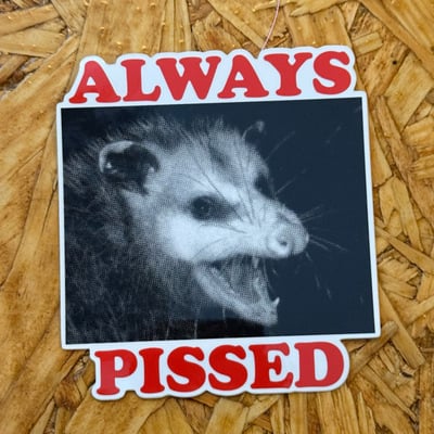 ALWAYS PISSED POSSUM vinyl sticker 4”