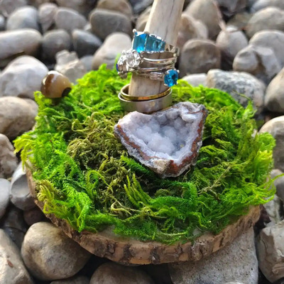 Deer antler ring holder
