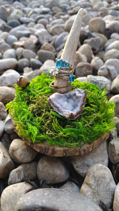 deer antler ring holder