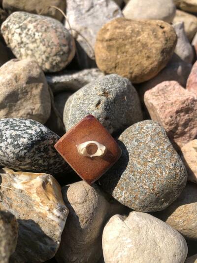 avocado pit and squirrel bone pin (diamond)