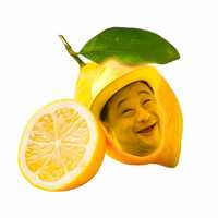 ShigNAg - Lemon Yellow - Thumbnail 8