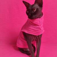 Neon Pink Wrinkle - Thumbnail 2