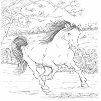 Coloring Book - 110 Animals Full Page Coloring Book, Printable , Grayscale Coloring Book for Adult Kids, Cute Life Animals - Thumbnail 4