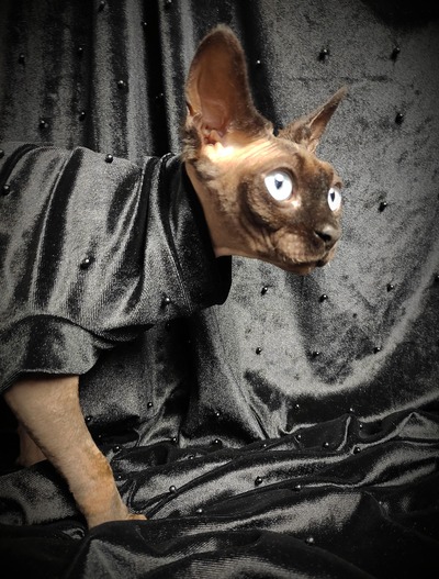 Black Pearls - Velvet