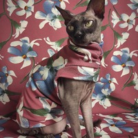 More Floral Whimsy - Thumbnail 2