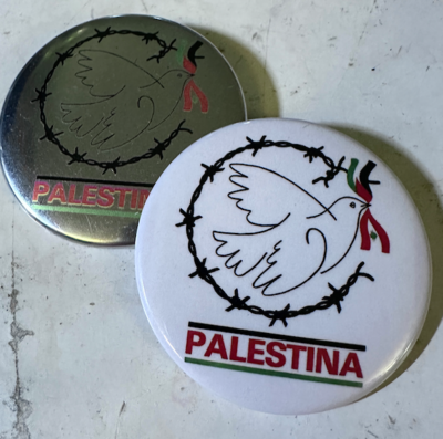 Palestine Pin Badge