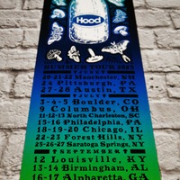 2025 Phish at Summer Tour (Lot Limited Edition Print) - Thumbnail 8