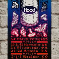 2025 Phish at Summer Tour (Lot Limited Edition Print) - Thumbnail 3