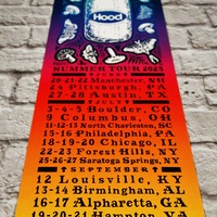 2025 Phish at Summer Tour (Lot Limited Edition Print) - Thumbnail 6