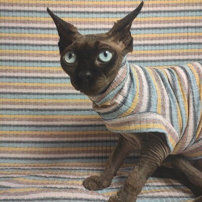 Summer sunset - ribbed for her pleasure 