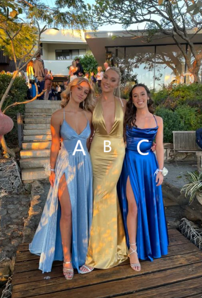 Different Style A-line V Neck Long Prom Dress ,Graduation Dress