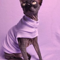 Lilacs - Ribbed For Her Pleasure  - Thumbnail 1