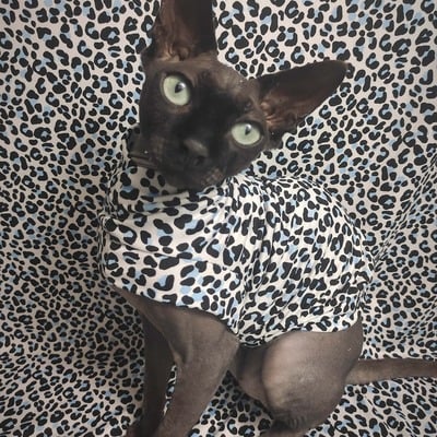 Arctic leopard - sleepwear - Thumbnail 1