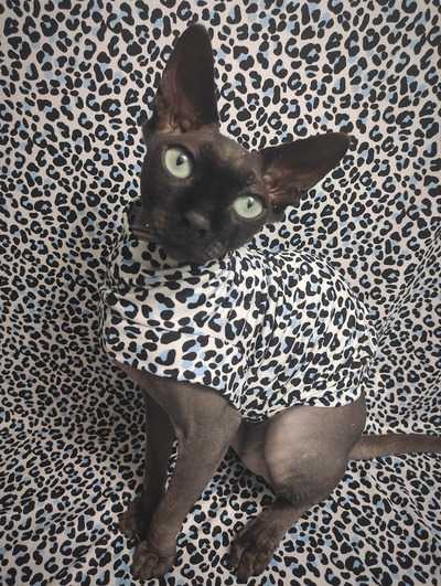 Arctic Leopard - Sleepwear