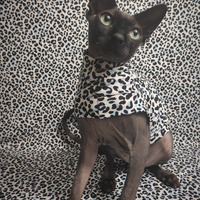 Arctic Leopard - Sleepwear - Thumbnail 2