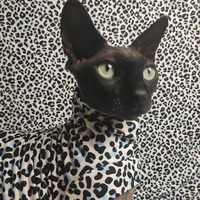 Arctic Leopard - Sleepwear - Thumbnail 1