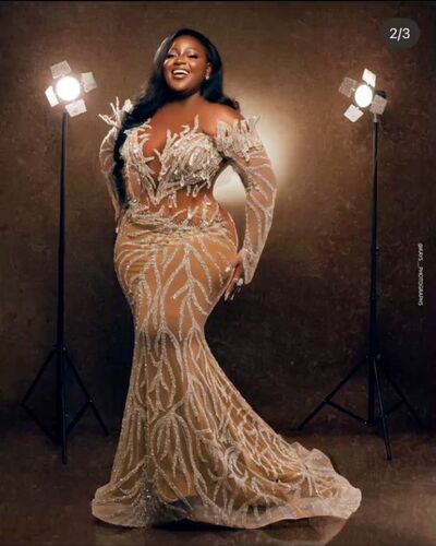Plus Size Mermaid Lace Prom Dresses Evening Gowns Formal Party Gowns