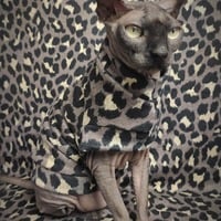 Sphynx Leopard - Sweaterknit - Thumbnail 1