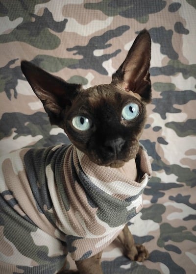 Faded Camo - Thermal