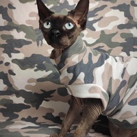 Faded Camo - Thermal - Thumbnail 2