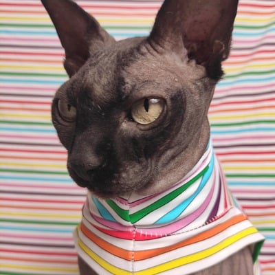 Rainbow lines - sleepwear