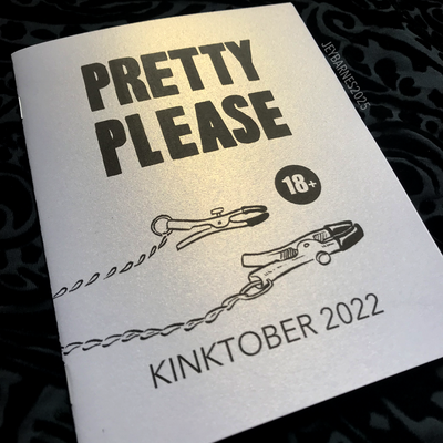Pretty please zine