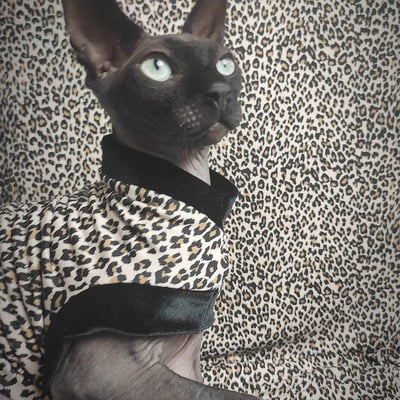 Lil leopard - velvet