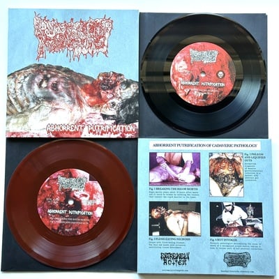 Purulent remains - “abhorrent putrefaction” 7”