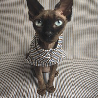 Blue / Brown Catstooth - Thumbnail 2