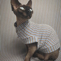 Blue / Brown Catstooth - Thumbnail 1