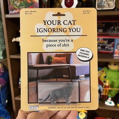 Ignoring Cat - V1