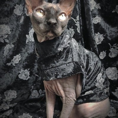 Stick-and-poke roses - velvet