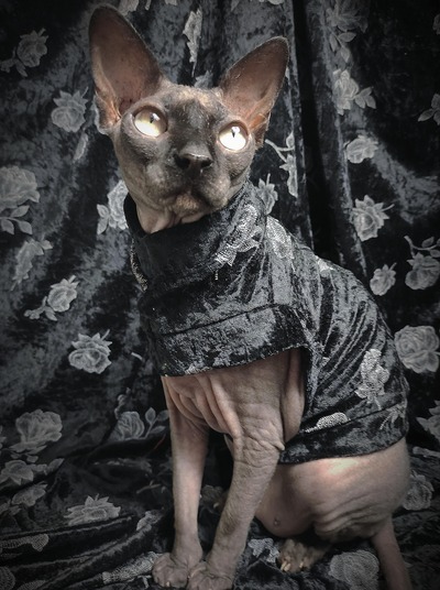 Stick-And-Poke Roses - Velvet