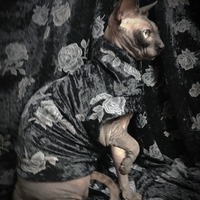 Stick-And-Poke Roses - Velvet - Thumbnail 1