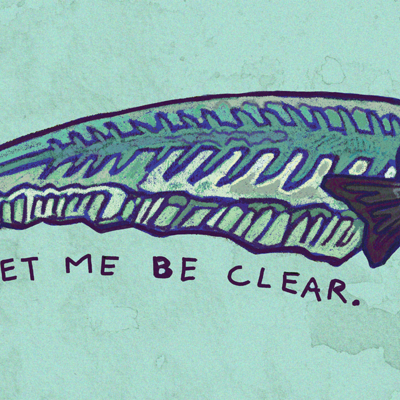 Glass catfish stickers/magnets