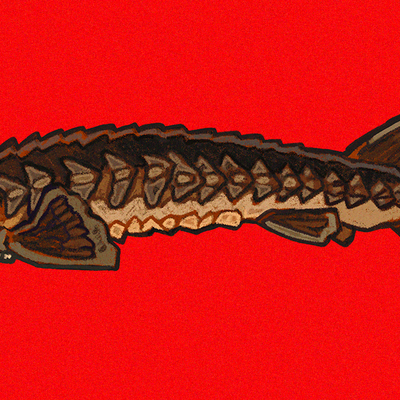 Sturgeon stickers/magnets/keychains