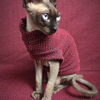 Stepped Pyramid - Thumbnail 2