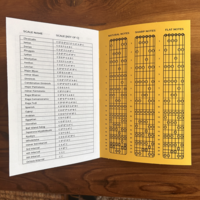 Audio Zine Issue #1 (Guitar Reference Guide) - Thumbnail 2