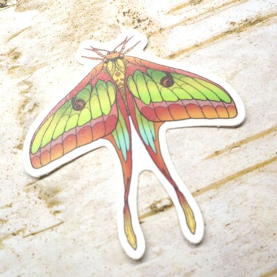 Lunar moth sticker